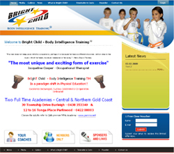 Gold Coast Web Design Services, Website Editor Example, Graphic and Logo Design